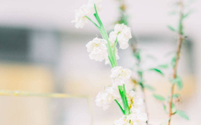 對男性傷害最嚴重的三大行為！