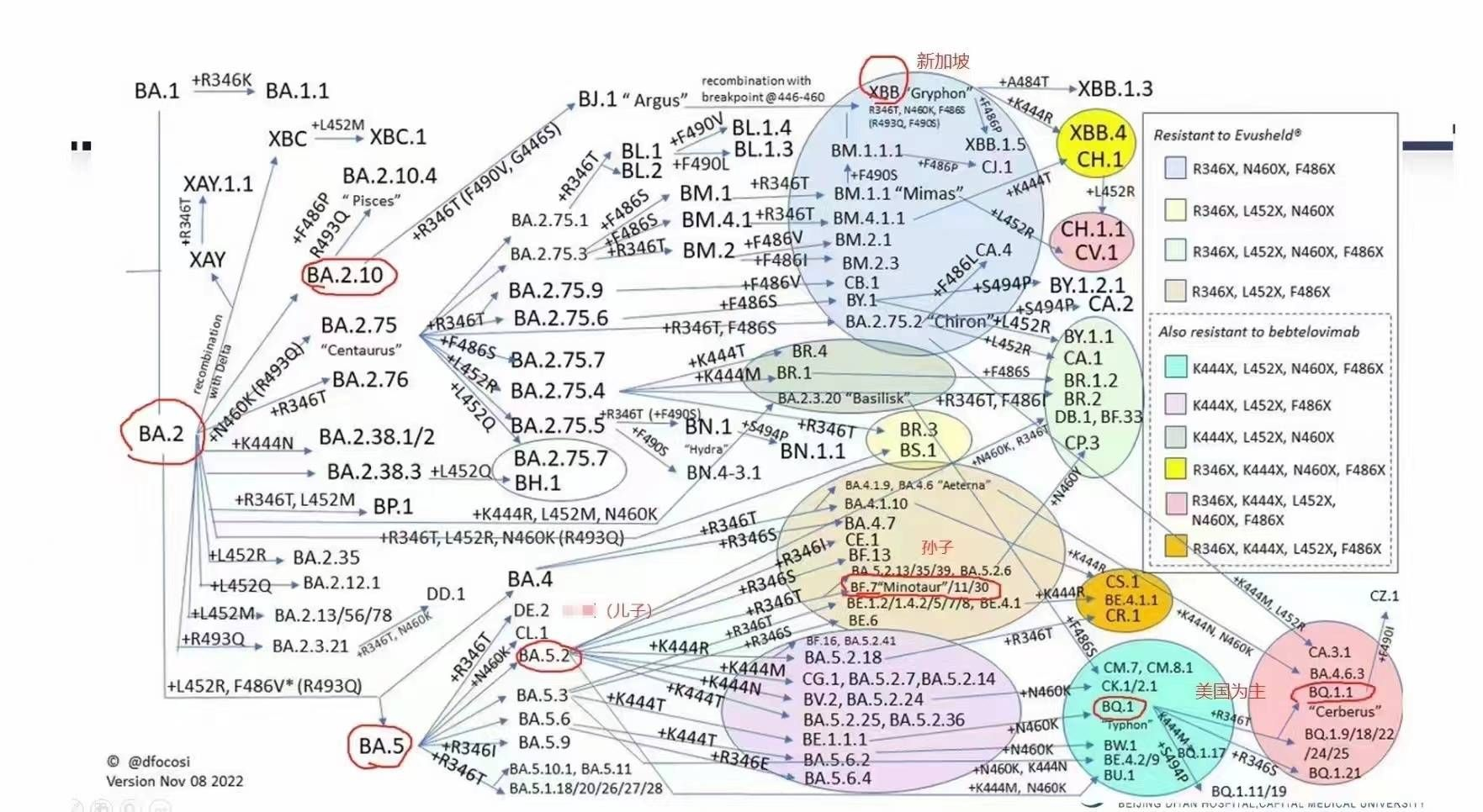 陽(yáng)了哪些事情不能做？感染新冠康復(fù)之后哪些事要注意？