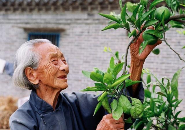 長壽的人有哪些特點？年紀大了如何養(yǎng)生？