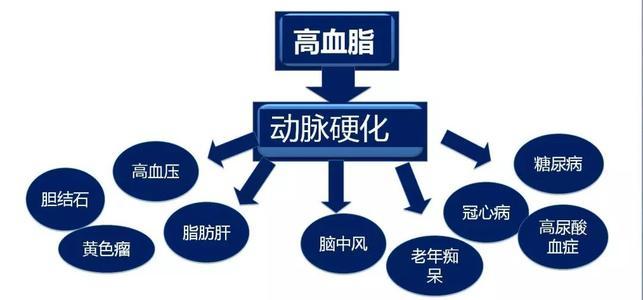 高血脂一般會產(chǎn)生什么樣的危害呢？高血脂有什么危害？